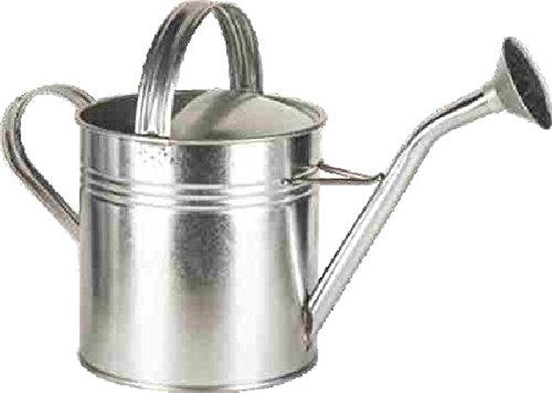 Gießkanne Zink 5 Liter