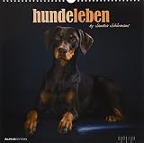 Hundeleben 2019 - Hunde - Dogs - Bildkalender (33 x 33) - Tierkalender - mit Zitaten - Wandkalender by
