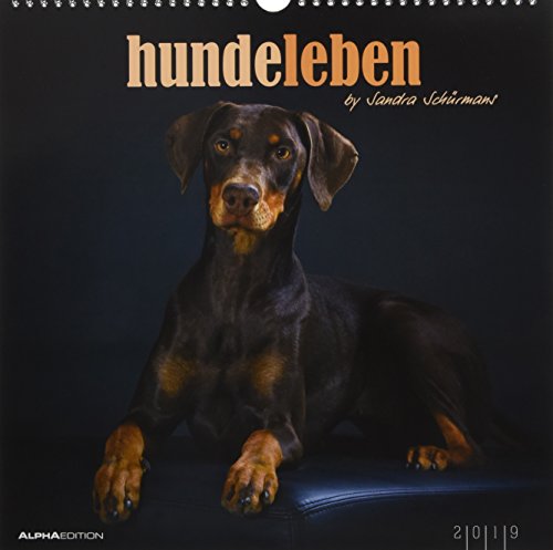 Hundeleben 2019 - Hunde - Dogs - Bildkalender (33 x 33) - Tierkalender - mit Zitaten - Wandkalender
