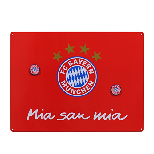 Preisvergleich Produktbild FC Bayern München Pinnwand ,Memoboard, Magnettafe FCB