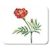 Produktbild HOTNING Gaming Mauspads, Gaming Mouse Pad Tagetes Patula Red Marigold Erecta Mexican Garden Flowering Plant 11.8"x 9.8" Decor Office Nonslip Rubber Backing Mousepad Mouse Mat