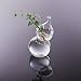 Imported Calabash Shape Glass Wall Hanging Flower Vase Plant Bottle Home Decor RS.325.00