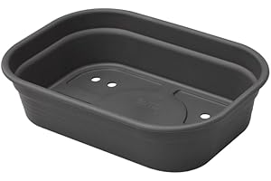 Elho Green Basics Anzucht Schale S - Lebhaft Schwarz - Drinnen & Draußen - L 23.9 x W 19.2 x H 6.1 cm