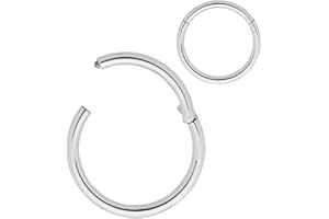 365 Sleepers Acero quirúrgico 316L Unisex Septum Tragus Helix Segmento con bisagras Nariz Labio Anillo Pendientes de aro Joyería para piercing corporal 20G 18G 16G 14G 12G 10G 8G 6G