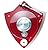 Thorens TD 309 prezzo scontato - Polaris Audio Hi Fi