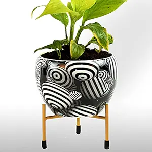 HINS Black And White Striped Sphere Design Metal Round Shape Flower Plant Pot For Indoor Plants Metal Pots For Indoor Plants I Elevated Garden Planter I Raised Planter I Desk Plant I Raised Planter Box I Ascent Homes Metal Planter I Raised Planter Box With Legs I Brass Pots For Indoor Plants I Golden Planter I Mid Century Plant Stand I Brass Planters For Indoor Plants I Indoor Plant Stand For Living Room I Metal Planters Pot For Indoor Plants designer pots for