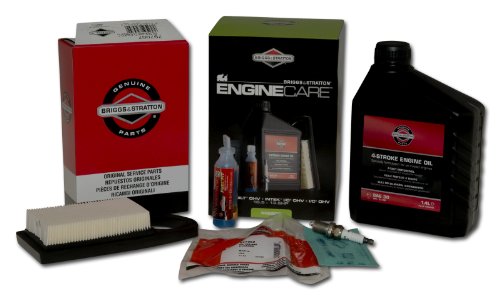 Arnold Original Briggs und Stratton Wartungskit Powerbuilt, Intek BS-992206