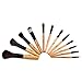 Glow 12 Makeup Brushes Set in Leopard Print Case