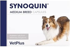 HAPIPET Vetplus Synoquin EFA Laboratorien für mittelgroße Rassen, 120 Kapseln