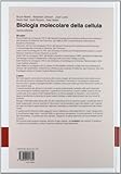Image de Biologia molecolare della cellula. Con DVD-ROM