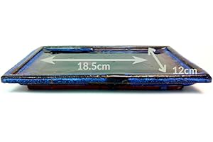 TRANQUIL PLANTS 18cm Rectangular bonsai planter tray- Humidity Control by Ceramic tray for bonsai tree-Rustic Glaze Ceramic Bonsai Drip Tray for Indoor Plants