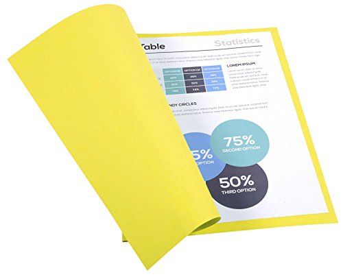 Exacompta 410005E - Lote de 100 Subcarpetas Forever 250 Color Amarillo reviews Exacompta 410005E - Lote de 100 Subcarpetas Forever 250 Color Amarillo