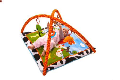 Red Kite Farm Yard Playgym