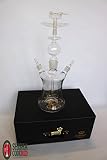 Caesar Glas-Shisha 2x Glasmundstücke - 