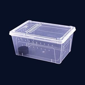 Zhhlinyuan Reptilienbox Cyber Monday Thanksgiving Day Christmas Gift PP High Transparency Ventilation Reptile Box Spider Scorpion Gecko Insect Snake Tortoise