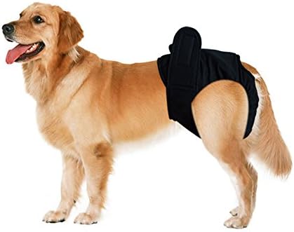 Cuepa Pet Large Dog Diaper Sanitary Physiological Pants Washable Female Dog Shorts Panties Menstruation Underwear Briefs (M, Black)