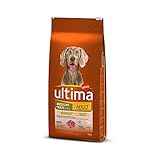 Alimento para perros en edad adulta (1 a 10 Años) medianos y grandes (+ 10 kg) rico en pollo y arroz