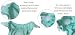 Pop-In New Generation V2 all-in-one one-size nappy, bamboo, Robots