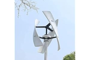 ZHPPED Générateur d'éolienne 3000W/8000W,12V 24V 48V 220V avec 3 pales,générateur d'éolienne Verticale, générateur à Aimant Permanent, kit d'éolienne pour éolienne Hybride solaire,3000W-220V