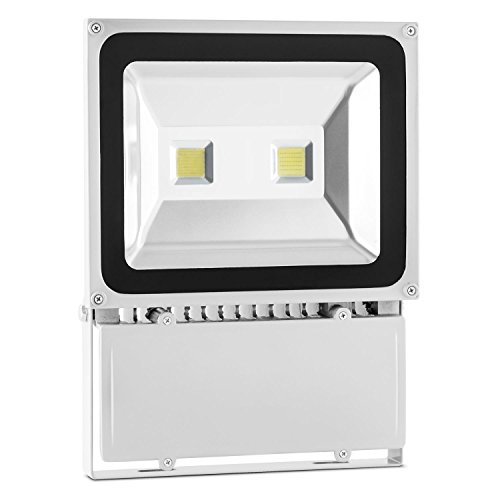 Lightcraft Alphalux Snow Fluter LED Hallenstrahler (100 Watt, warmweiß, 120° Abstrahlwinkel, hoher Wirkungsgrad, niedriger Stromverbrauch, Aluminium) grau