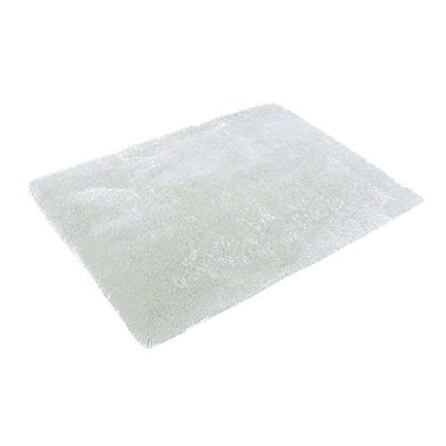 Tapis de Décoration à Longs Poils Anti-dérapant Tapis de Maison Chambre Salle de Bain 80*120*4.5cm - Blanc