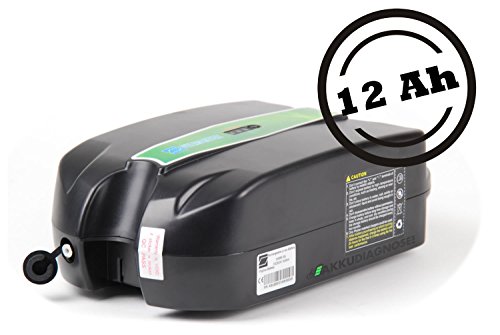 Phylion Akku XH259-10J für E-Bike Pedelec 24V 12Ah für u.a. MiFa, Rex, Prophete (LF)