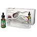 Derma Roller 540 Needle + 20% Vitamin C, 11% Hyaluronic Acid, Vitamin E, Amino Complex Serum- Full Treatment Video Tutorial + eBook! 1FL OZ/30ml - Best Vitamin C Serum + Micro Needling Skin Roller Kit