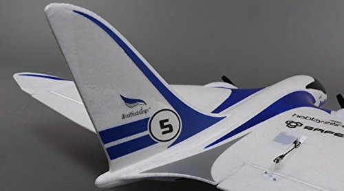 HobbyZone Delta Ray Plane with SAFE Technology and DX4e Transmitter (Ready to Fly) - HBZ7900