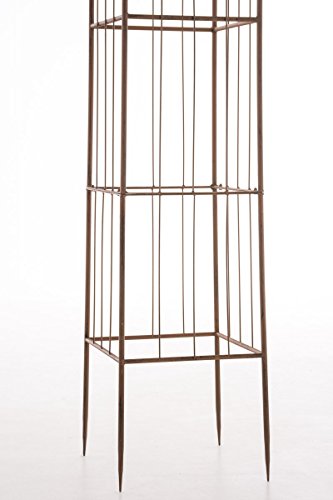 CLP XXL Rankhilfe / Rosensäule TROJA, Maße 44 x 44 cm, Höhe 350 cm antik braun - 8