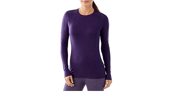 smartwool nts mid 250 crew