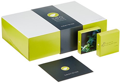 Preisvergleich Produktbild Tee Geschenkbox, Probierset"Teereise" - 24 verschiedene exklusive lose Tees
