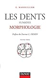 Image de Les Dents humaines : Morphologie
