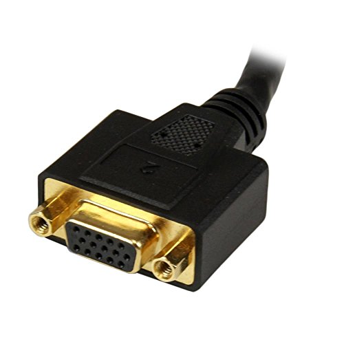 StarTech DVI-I auf DVI-D Splitter Kabel - 4
