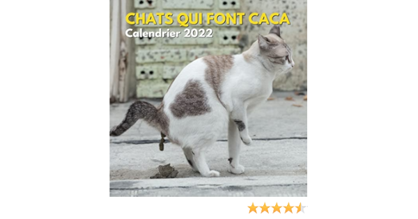 Amazon Fr Chats Qui Font Caca Calendrier 22 Cadeaux Droles Pour Les Amoureux Des Chats Pour Blague Secret Santa Gag Homme Femme Adolescent Enfant Ami Noel Idee