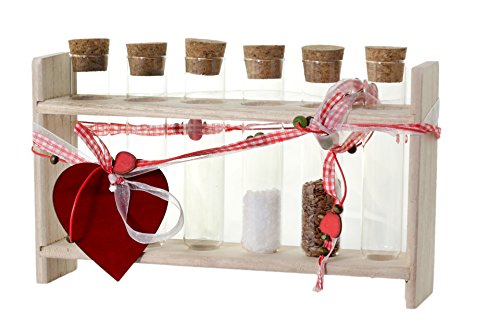 6 Reagenzgläser Holzständer Holzvase selbstbefüllen Gewürzständer Dekoration