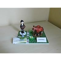Geldgeschenk Reiterin Pferde zum Geburtstag