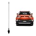 Autofy Premium Quality AM/FM Car Antenna for Mahindra KUV 100 (Black) RS.179.00