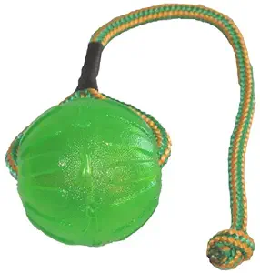 StarMark Everlasting Fun Ball on a Rope Dog Toy