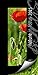 Nature in Focus 2015 (Creative) by