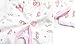 DEHANG 5 Piece Set Unisex-Baby Newborn Baby Clothes with Pants and Bib and Cap - Pink