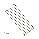 Taylor Wheels 28 Zoll Vorderrad Shimano Nabendynamo DH-3N31 - silber - 