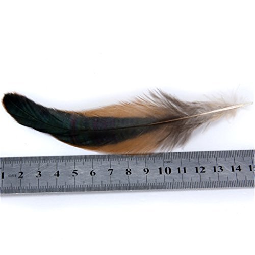 ERGEOB Hahn Feder – Ideen für die Kostüme, Hüte, Home dekor circa 100 stück 12-18cm braun - 4