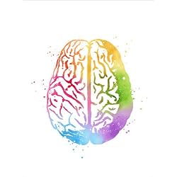 Cuadro Sobre Lienzo 100 x 130 cm: Brain Anatomy Biology de Mod Pop Deco