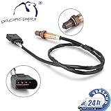 lambdasonde audi a3 8l 1 6 Vor dem Kauf bitte unbedingt mit Artikelbild bzw. die OE-Nummer vergleichen. Dadurch meiden Sie Unstimmigkeiten und irrtümliche Käufe.