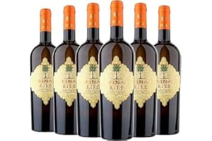 GENERIC Kikè Traminer Sauvignon Blanc Cantina Fina 2024 6 bottiglie da 750 ml