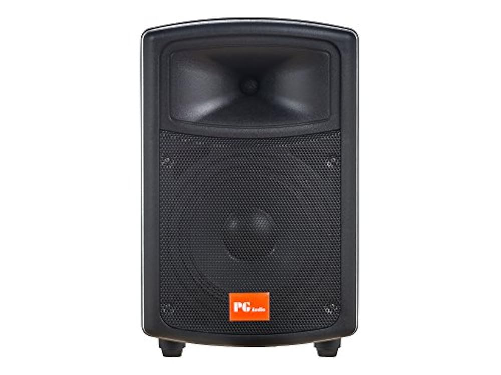 Pa audio. Pg audio gw1512pro. купить в тирасполе pw-2522 pa-lautsprecher мощность 750 вт rms.