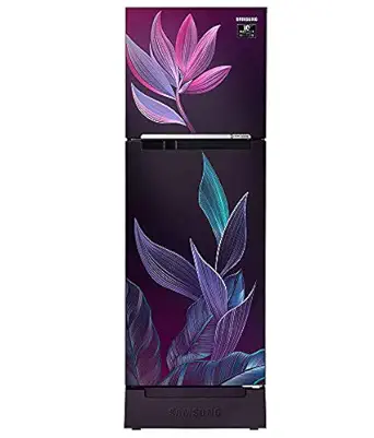 Samsung 253 L 2 Star Inverter Frost-Free Double Door Refrigerator (RT28T31429R/HL, Paradise Purple)