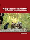 Image de Alltagswege zur Freundschaft: ... vom Zusammenleben mit (außer)gewöhnlichen Hunden