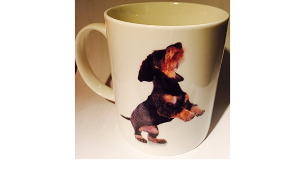 Dachshund Dog Mug Amazon Co Uk Home Kitchen