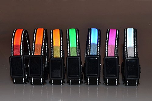 Lesypet-USB-Rechargeable-Reflective-Flashing-Lights-LED-Pets-Dog-Safety-CollarSolar-charger-and-WaterproofFit-for-Small-Medium-Large-Pets-Dog-Sold